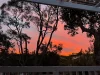 70 Washington Street, Bexley, NSW 2207-Image