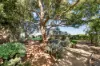 70 Wh Swinstead Road, Winkie, SA 5343-Image