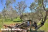 7000 Werribee Road, Wooroloo, WA 6558-Image