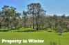 7000 Werribee Road, Wooroloo, WA 6558-Image