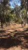 7000 Werribee Road, Wooroloo, WA 6558-Image