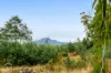 7018 Huon Highway, Dover, Tas 7117-Image