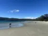 704 Adventure Bay Road, Adventure Bay, Tas 7150-Image