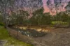 705 Prosperity Road, Stoneville, WA 6081-Image