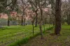 705 Prosperity Road, Stoneville, WA 6081-Image