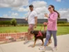 709 Five Farms, Clyde North, Vic 3978-Image