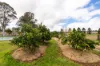 7095 Bruxner Highway, Mallanganee, NSW 2469-Image