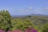 71-77 Sunrise Road, Eumundi, Qld 4562-Image
