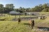 71 Alburys Road, Huonville, Tas 7109-Image