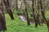 71 Aldersyde Road, Piesse Brook, WA 6076-Image