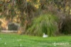 71 Axiom Way, Acton Park, Tas 7170-Image