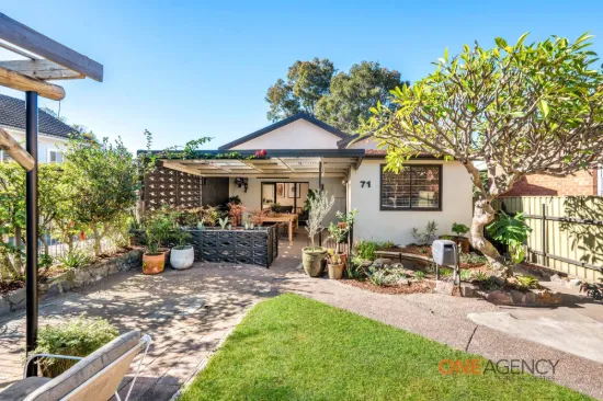 71 Barton Street, Mayfield, NSW 2304