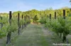 71 BENSON ROAD, Gisborne South, Vic 3437-Image