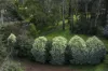 71 Bruce Street, Macedon, Vic 3440-Image