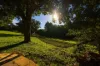 71 Converys Lane, Wollongbar, NSW 2477-Image