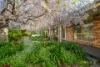 71 Cossington Smith Crescent, Lyneham, ACT 2602-Image