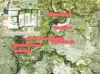 71 Cranwood Crescent, Viveash, WA 6056-Image