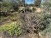 71 Danberrin Road, Nungarin, WA 6490-Image