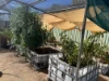 71 Danberrin Road, Nungarin, WA 6490-Image