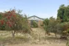 71 Dryandra Drive, Mirrabooka, WA 6061-Image