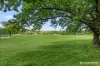 71  Euree Street, Reid, ACT 2612-Image