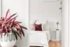 71 Everard Street, Footscray, Vic 3011-Image