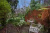 71 Forest Park Road, Upwey, Vic 3158-Image
