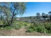 71 Graziano Road, Bowhill, SA 5238-Image
