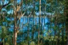 71 Northcove Road, Long Beach, NSW 2536-Image