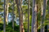 71 Northcove Road, Long Beach, NSW 2536-Image