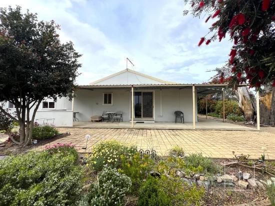 71 Pink Lake Road, Nulsen, WA 6450