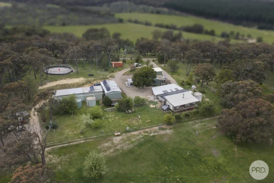71 Red Hill Road, Raglan, Vic 3373