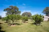 71 Sloggetts Road, Oberon, NSW 2787-Image