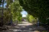 71 Sloggetts Road, Oberon, NSW 2787-Image