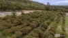 71 Tennessee Road, Lowlands, WA 6330-Image