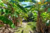 71 Tuey Close, Blackmore, NT 0822-Image