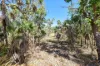 71 Tuey Close, Blackmore, NT 0822-Image