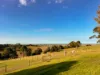 71 Wallaces Road, Korumburra South, Vic 3950-Image