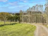 71 Wallaces Road, Korumburra South, Vic 3950-Image