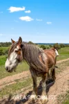 71 Wallaces Road, Korumburra, Vic 3950-Image