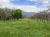 7111 Kiewa Valley Highway, Tawonga, Vic 3697-Image