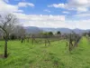 7111 Kiewa Valley Highway, Tawonga, Vic 3697-Image