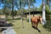 717 Dingo Beach Road, Gregory River, Qld 4800-Image