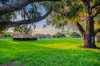 71B Birdwood Circus, Bicton, WA 6157-Image