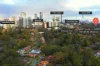 71B Eddy Road, Chatswood, NSW 2067-Image