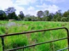 72-100 Meadow Road, Logan Reserve, Qld 4133