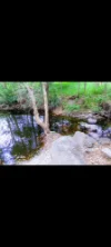 72-100 Meadow Road, Logan Reserve, Qld 4133-Image