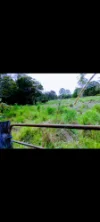 72-100 Meadow Road, Logan Reserve, Qld 4133-Image