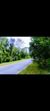 72-100 Meadow Road, Logan Reserve, Qld 4133-Image
