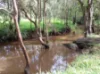 72-100 Meadow Road, Logan Reserve, Qld 4133-Image
